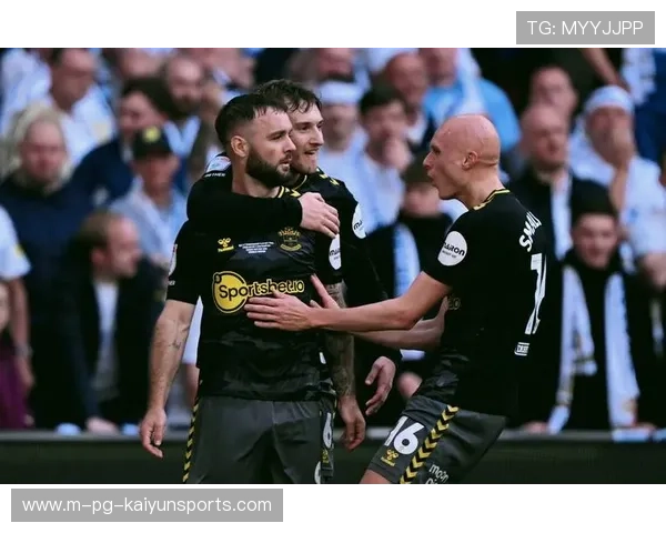 南安普顿：重返英超的挑战，南安普顿是英超球队吗_