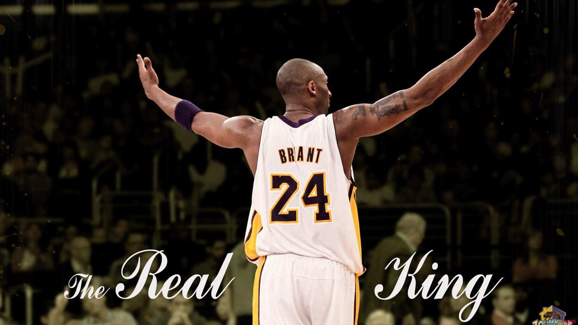 恩多比·恩乔的表现一直备受瞩目，他为南非队提供了无限可能，恩多什么意思