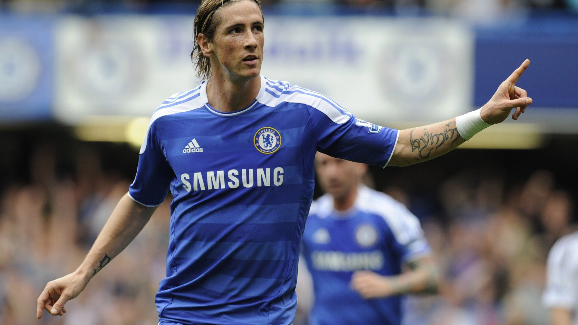 美洲杯比赛的场馆环境保护，美洲杯比赛场地在哪里